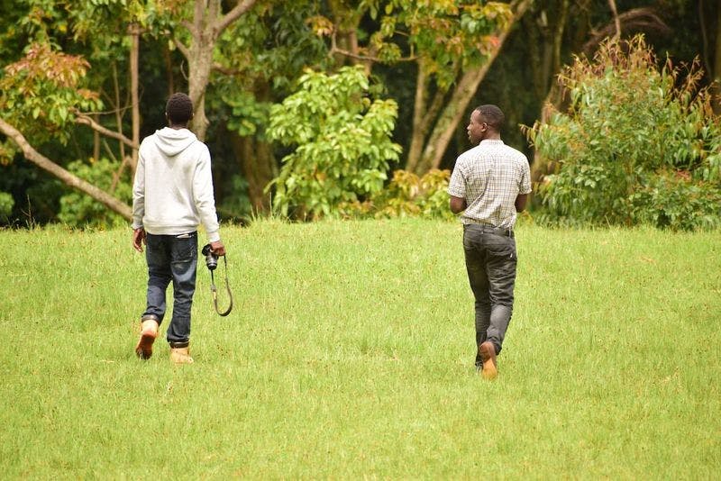 Two men walk towards a forest in a field with cameras