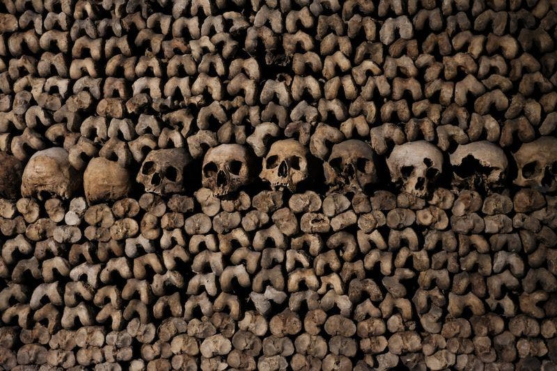 skulls and bones in the catacombs