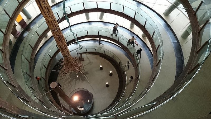 Spiral walkway with tree growing in the center in the Cosmo Caixa