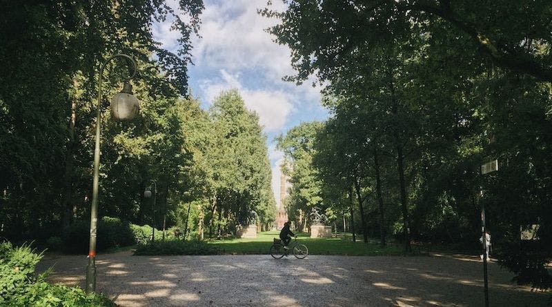 A person cycling in a Berlin park