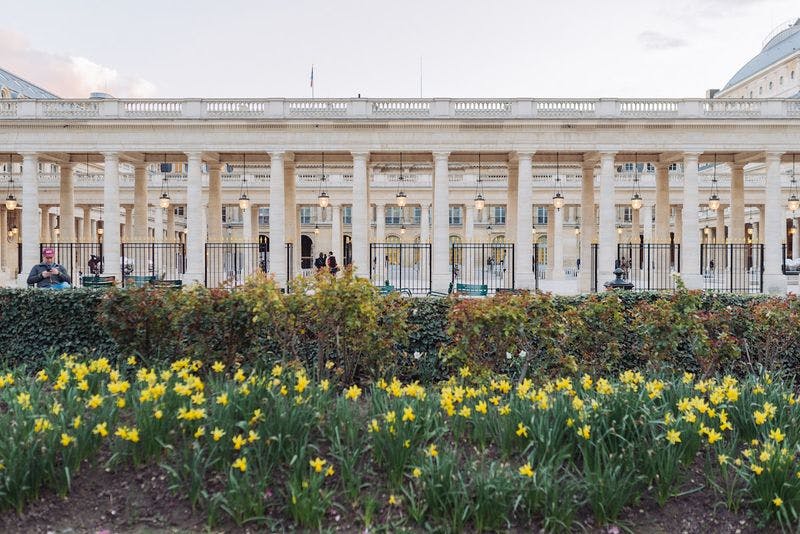 palais royale with flowers